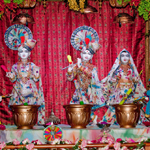 Holi and Nar Narayan Dev Jayanti - Fuldotsav - ISSO Swaminarayan Temple, Norwalk, Los Angeles, www.issola.com
